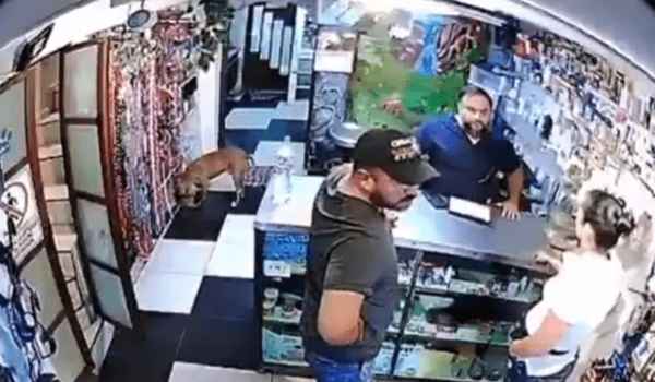 Veterinarioasesinado