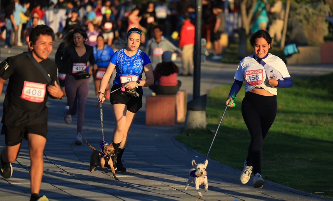 Corre con tu mascota2025